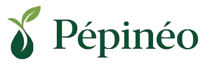 Pepineo